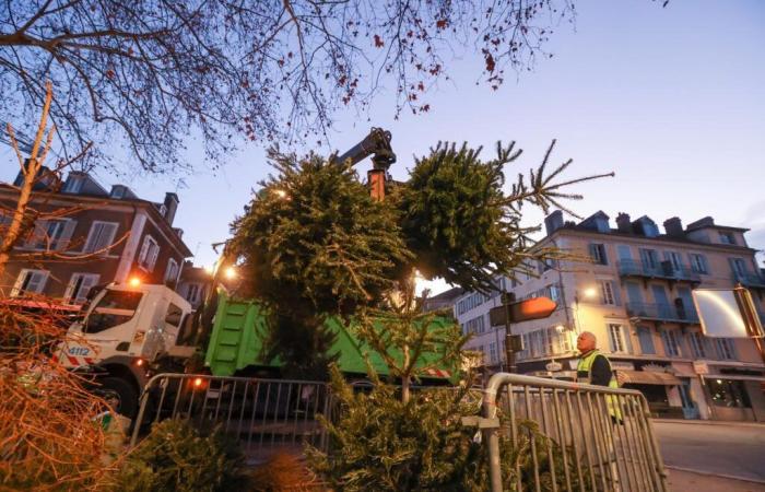 Pau: Gli alberi di Natale possono essere conservati nel centro della città a partire dal giorno dopo Natale