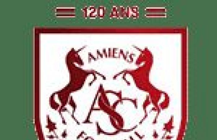 Rodez-Amiens-Socios FC Metz