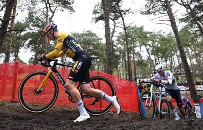 Wout van Aert incontra Mathieu Van der Poel nel ciclocross questo venerdì in Belgio