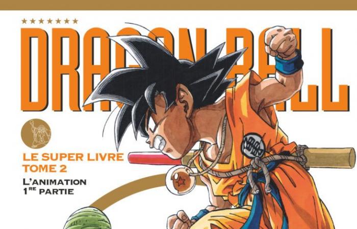 I 4 grandi libri di Dragon Ball, finalmente! I 4 grandi libri di Dragon Ball, finalmente!