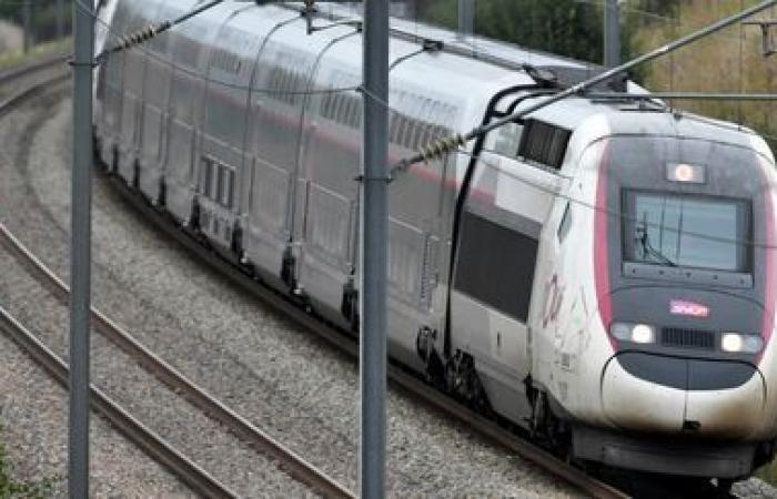 notevoli ritardi per una decina di TGV a seguito di un “incidente personale” nella Senna e Marna