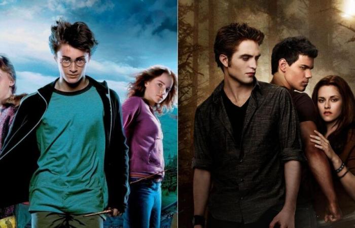 Nessuno ha capito se queste 10 immagini provengano da Harry Potter o Twilight