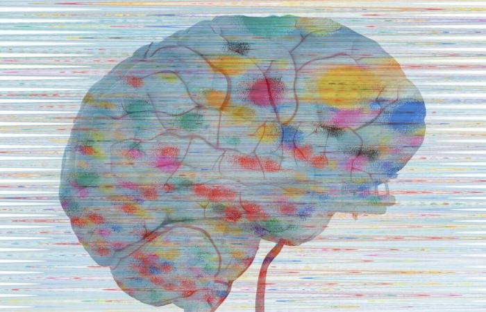 Usiamo solo il 10% del nostro cervello, la nostra intelligenza dipende dalla nostra materia grigia… Davvero? Cinque “neuromiti” esaminati