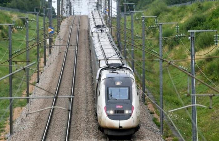 come il sistema di arresto di emergenza del TGV ha contribuito a evitare “un disastro ferroviario”