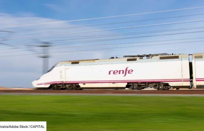 Dopo Lione e Marsiglia, la Renfe potrà unirsi a quest'altra città francese