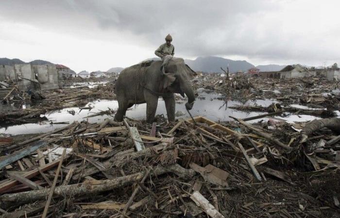 Preghiere e lacrime ricordano i 20 anni dallo tsunami nell'Oceano Indiano che uccise 230.000 persone