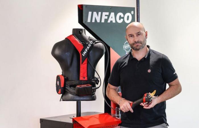 “Viviamo felici, viviamo nascosti”: questa azienda del Tarn si è distinta per le sue innovazioni