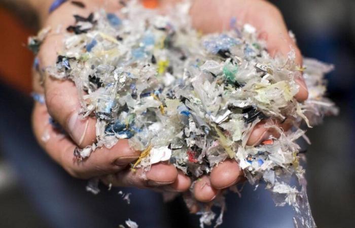 Secondo Ademe, i suoli francesi sono massicciamente contaminati da microplastiche