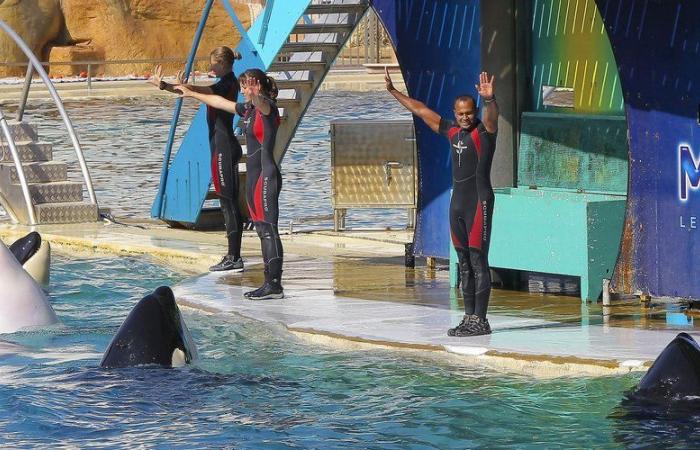 Lanciata una petizione “estremamente urgente” contro la chiusura del parco Marineland di Antibes