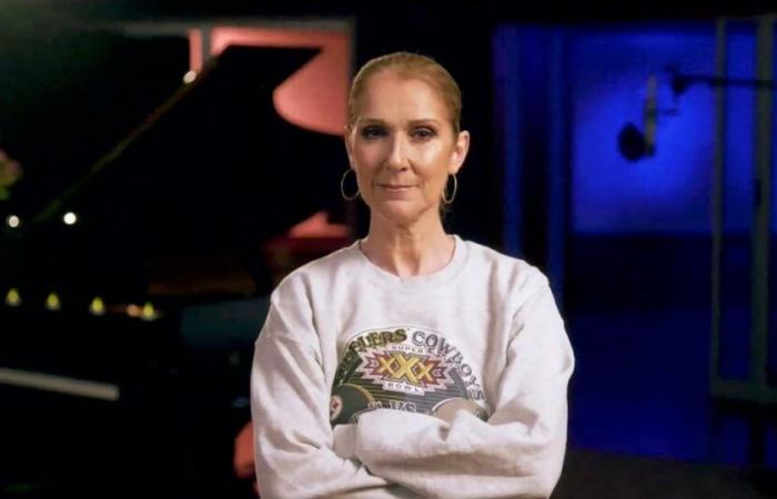 Céline Dion: Questo luogo molto turistico di Parigi ha infranto le sue regole, soprattutto per lei!