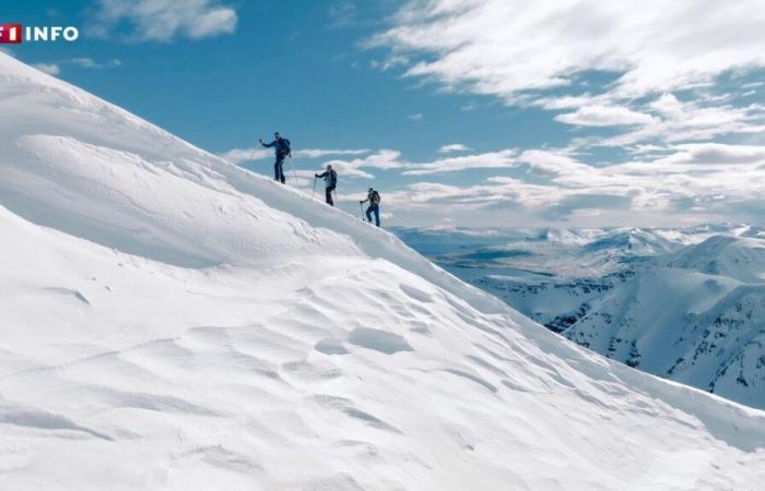 Valanghe seriali nelle Alpi: quale attrezzatura è consigliata in montagna?