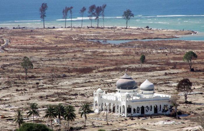 I memoriali dello tsunami nell'Oceano Indiano ricordano 20 anni da uno dei disastri naturali più mortali della storia