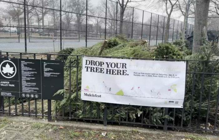 L'annuale Mulchfest inizia in tutta la città