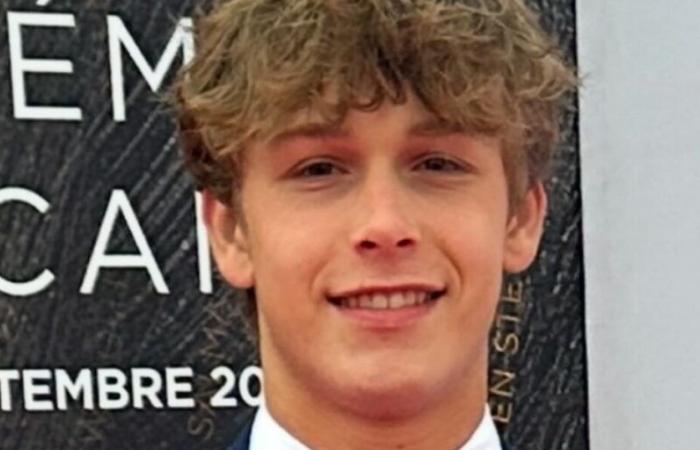 Morte di Hudson Joseph Meek a 16 anni: l'attore Baby Driver vittima di un incidente