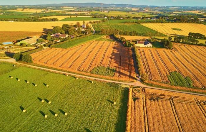 In Francia, “presenza quasi sistematica” di microplastiche nei suoli