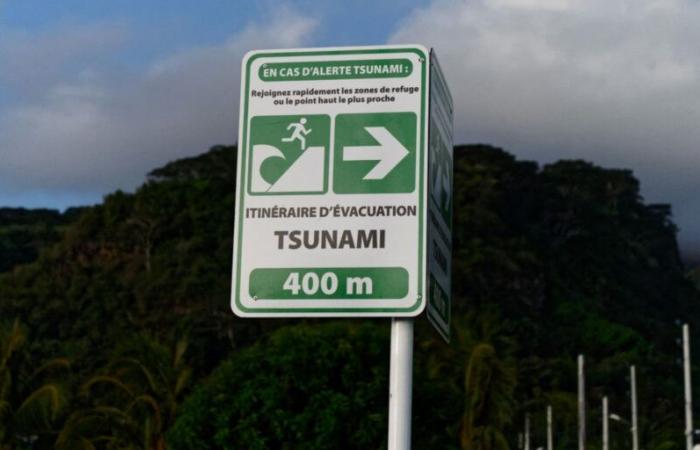 Tsunami: dopo il disastro del 2004 in Thailandia, la Francia ha istituito un centro di allerta