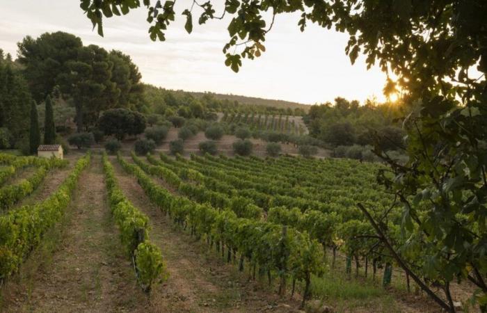 tre quarti dei suoli francesi sono inquinati, soprattutto quelli agricoli, secondo Ademe