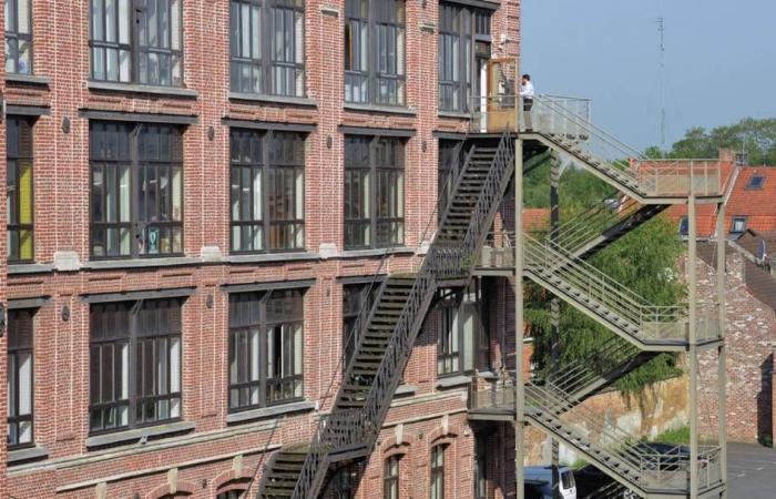 Fine dell'avventura per l'Altopiano Fertile Roubaix