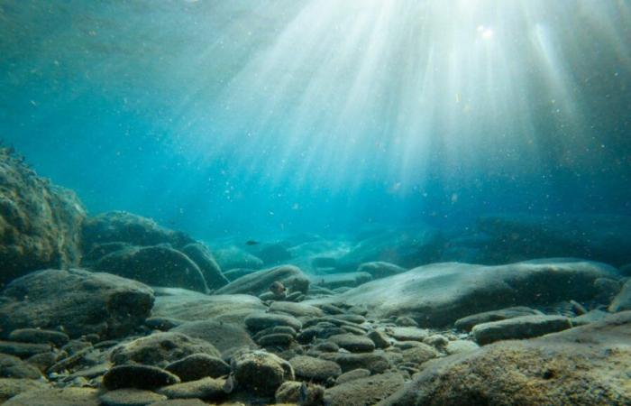 La terra dell'età della pietra sommersa dal Mare del Nord rivela i segreti di una civiltà scomparsa