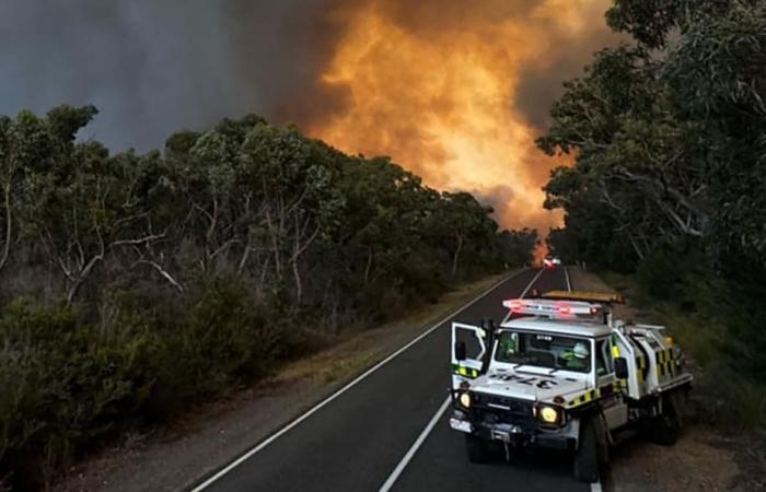 Il mondo in breve | L'ondata di caldo alimenta gli incendi in Australia, emergenza ambientale in Perù dopo una fuga di carburante