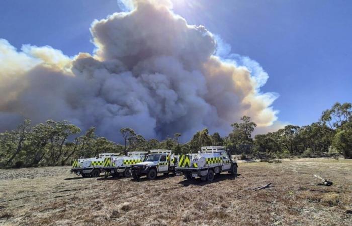 L’ondata di caldo provoca feroci incendi in Australia