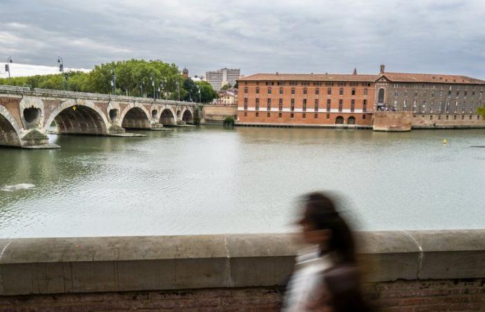 Rosa da un lato, scuro dall'altro: perché l'Hôtel-Dieu di Tolosa ha questo contrasto di colori