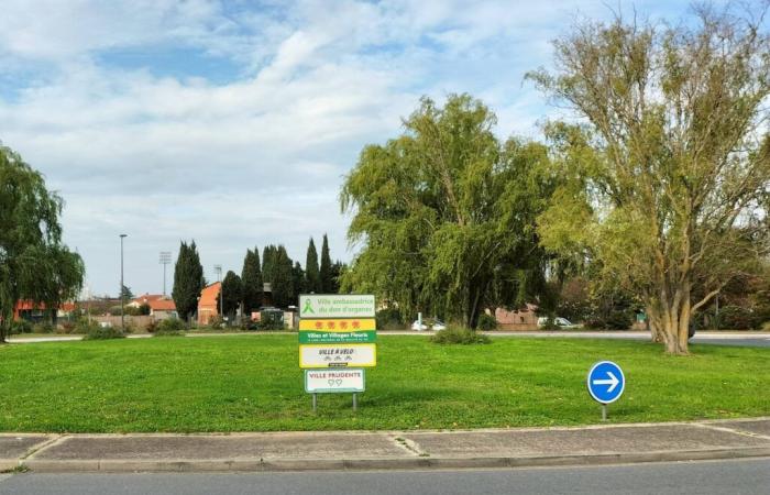 Albi, “Città ambasciatrice della donazione di organi”