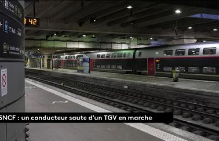 cosa sappiamo della tragedia avvenuta su un TGV in movimento, provocando notevoli ritardi la vigilia di Natale