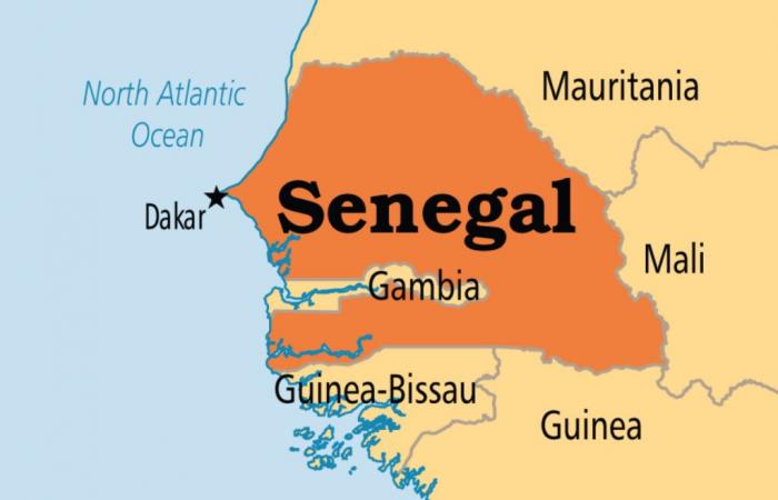 Senegal: per un milione di franchi CFA a tonnellata il Paese produce oltre 22.000 tonnellate di…