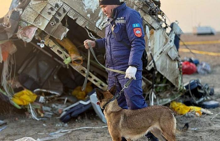 quali versioni dell'incidente aereo vengono avanzate dai media e dalle autorità?