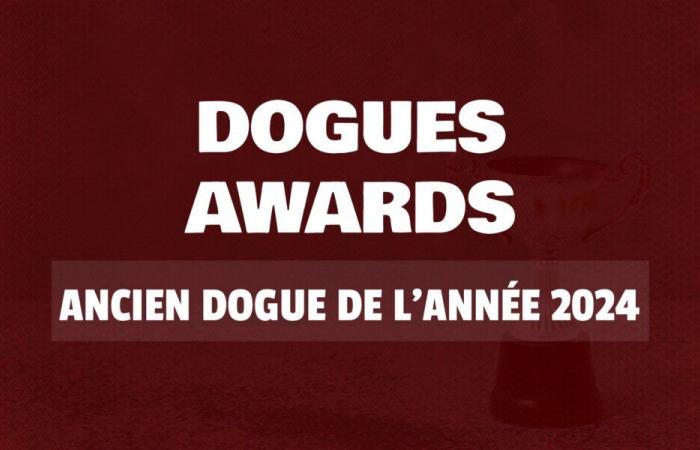 Dogues Awards 2024: elegge l'ex giocatore dell'anno del LOSC