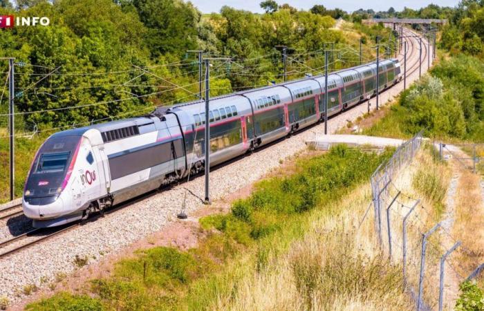 Suicidio di un macchinista della SNCF: come si è fermato il TGV?