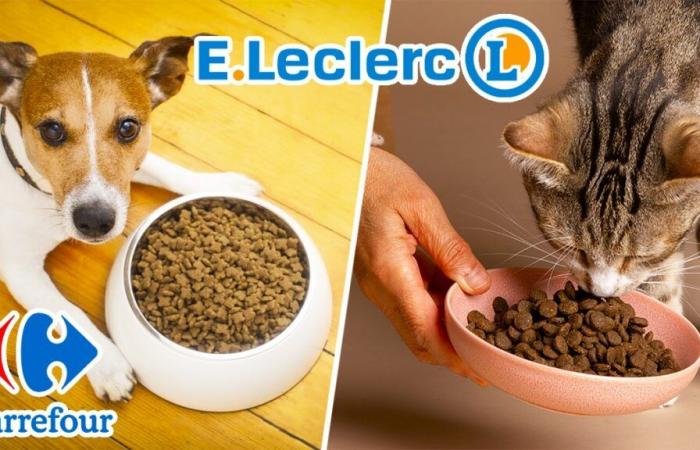 massiccio ritiro di queste crocchette per cani e gatti in tutta la Francia