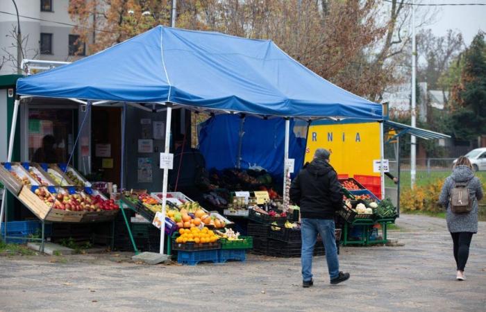 Il cibo italiano è più caro dell'anatra. Da dove vengono questi prezzi?