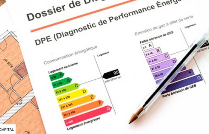 una nuova diagnosi costerà cara ai proprietari