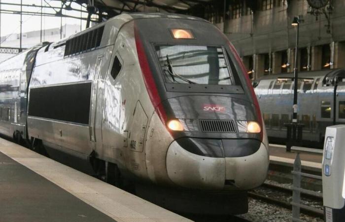 Suicidio del macchinista del TGV: cos'è questo dispositivo che ha permesso al treno di fermarsi?