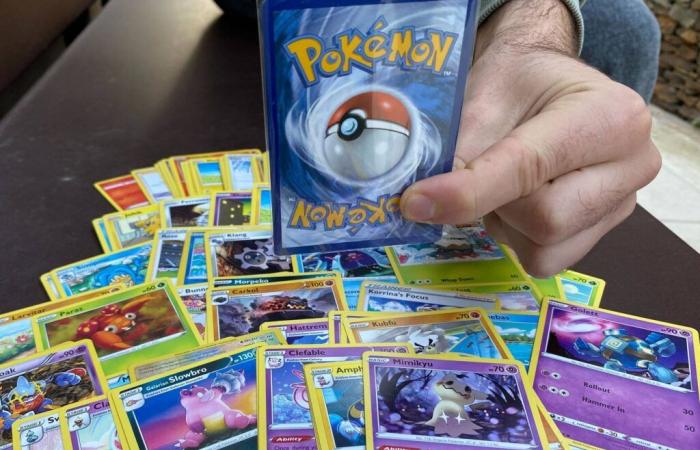 Questo collezionista di Pokémon guadagna più di 2.000 euro al mese: “È arte, con la sua rarità e il suo valore”