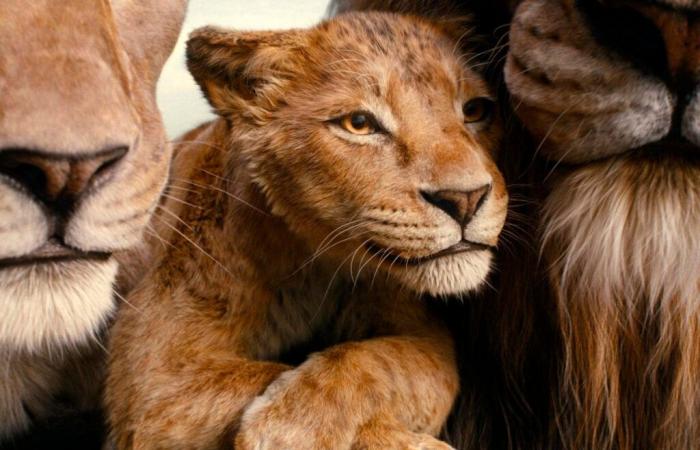 Ecco i migliori film al botteghino di Natale con 'Mufasa' in testa al gruppo