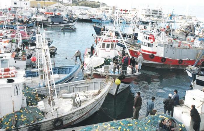 Porto di M'diq: diminuzione degli sbarchi di pesca alla fine di novembre