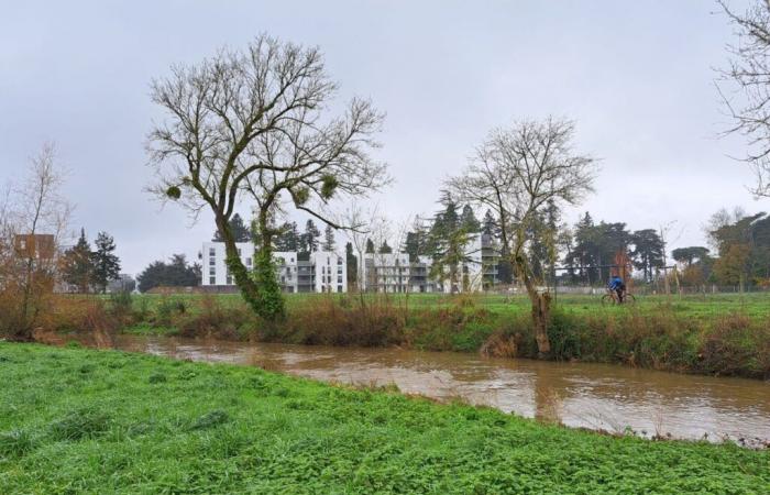 dov'è il progetto di sviluppo della prateria di Saint-Martin?