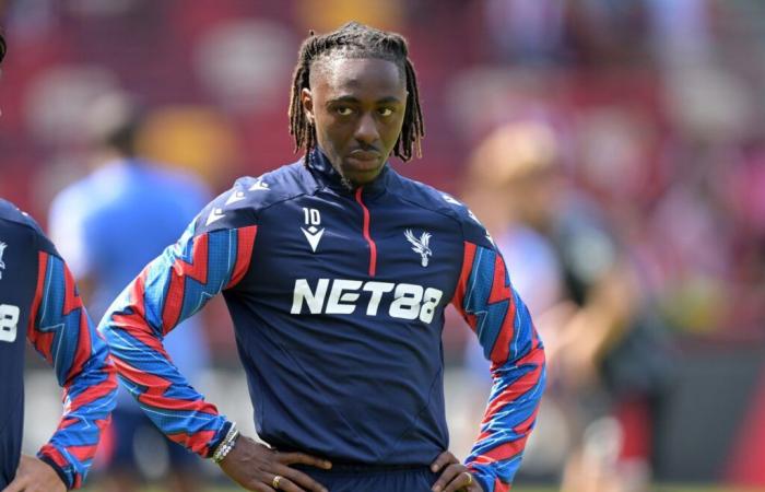 Notizie sugli infortuni del Crystal Palace per la partita del Bournemouth: buone e cattive notizie sul fronte della selezione per Glasner – South London News