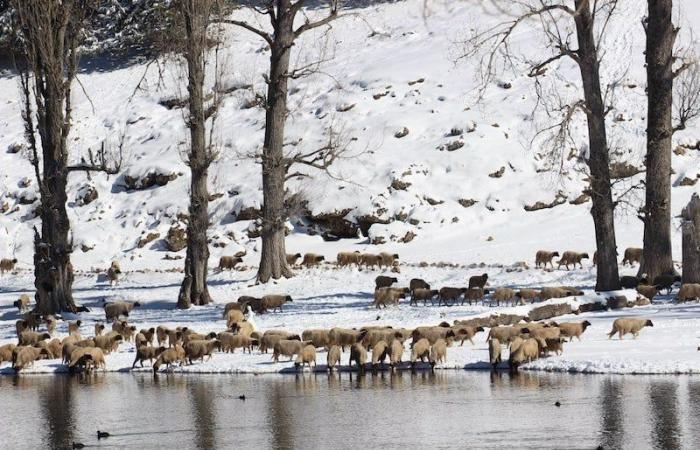 In Marocco sono previste pioggia e neve per quattro giorni