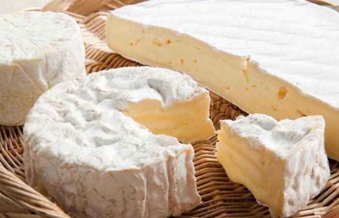 Secondo uno studio, questo formaggio francese essenziale potrebbe migliorare la memoria e l’apprendimento