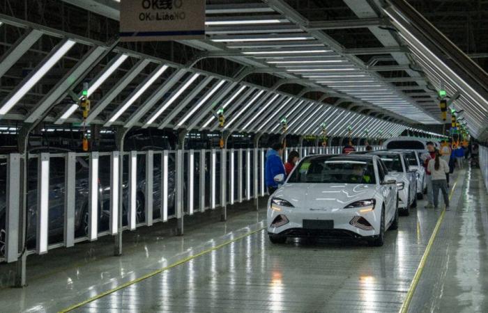 Il colosso cinese delle auto elettriche BYD sospettato di schiavitù moderna