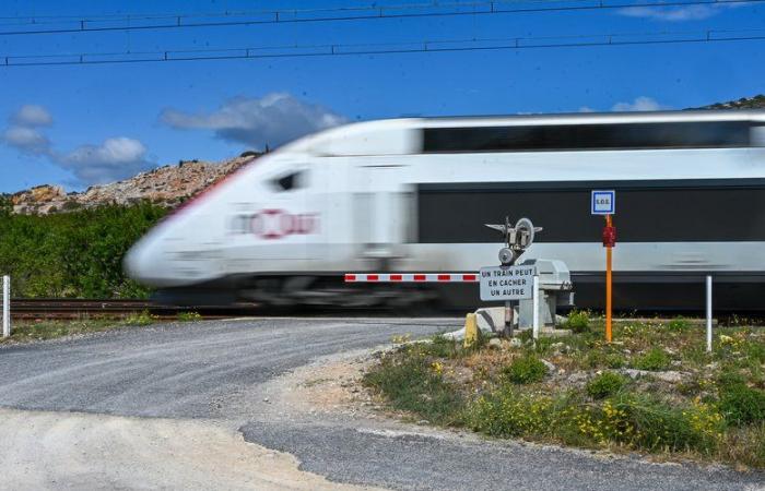 Suicidio del conducente del TGV: “Era umanista, pacifista, impegnato”… Padre di due figli, il ferroviere era “una persona importante” per i suoi compagni di Saint-Etienne