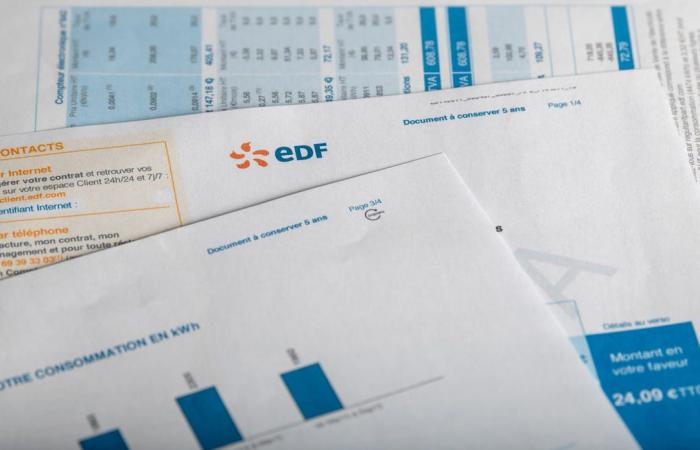 L'EDF ha lanciato un messaggio d'allarme a molti francesi, che dovrebbe essere preso molto sul serio