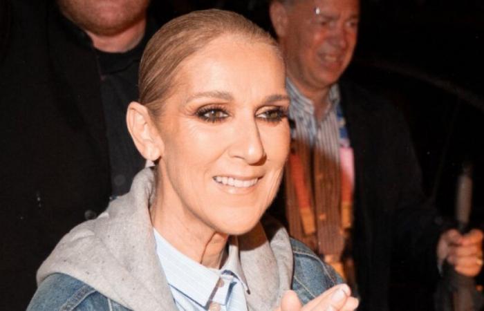 Tour, album… Céline Dion prepara il suo ritorno alla ribalta: Novità