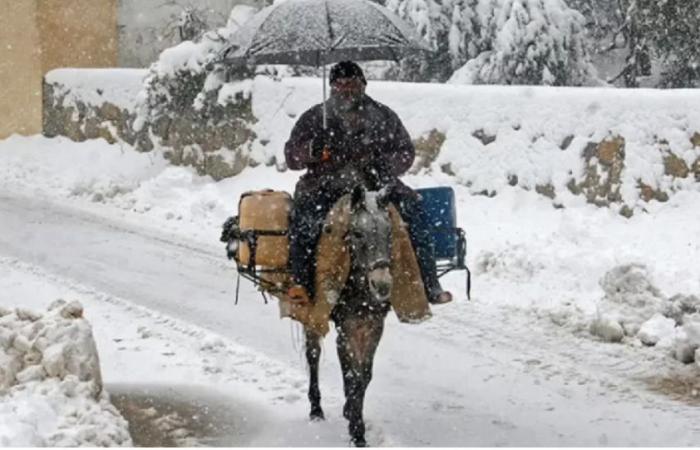 Bollettino di allerta: nevicate da sabato a lunedì prossimo