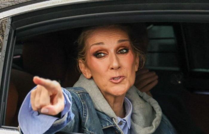 Celine Dion è tornata: la cantante potrebbe tenere una serie di concerti a Parigi nel 2026!