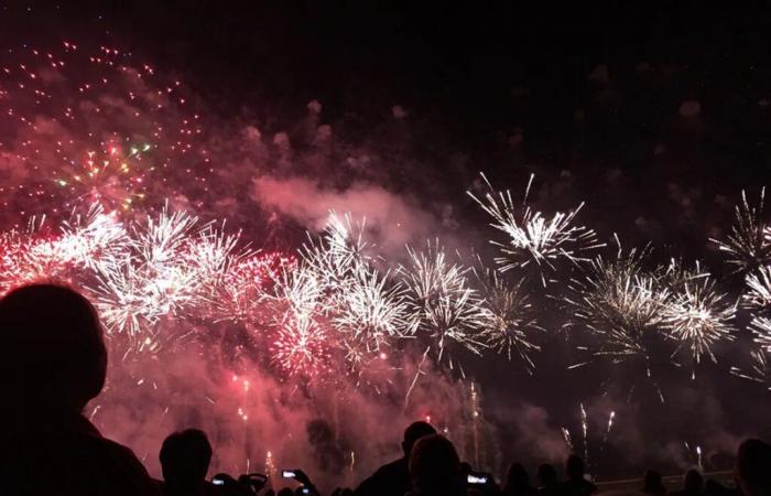 Restrizioni su fuochi d’artificio e articoli pirotecnici per fine anno